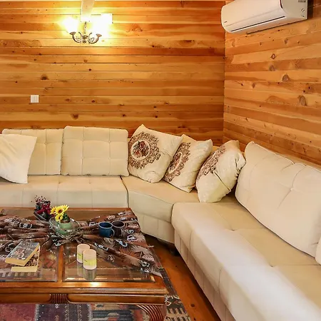 Ilk Ayvilla2 Villa